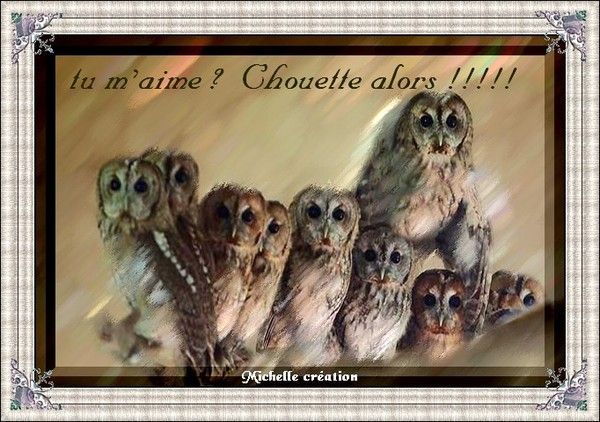 Chouette !!!!!